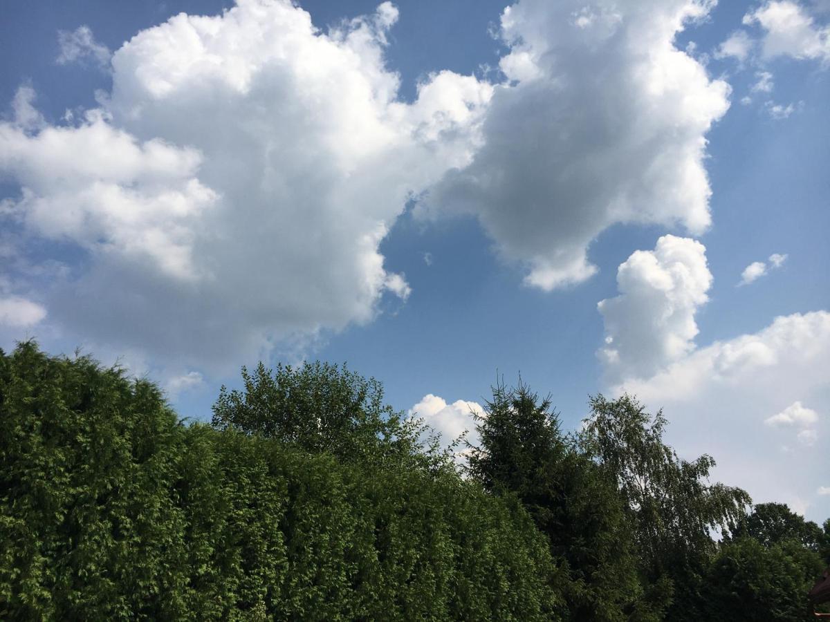 Kapitanskie Gniazdo Czaplinek Luaran gambar